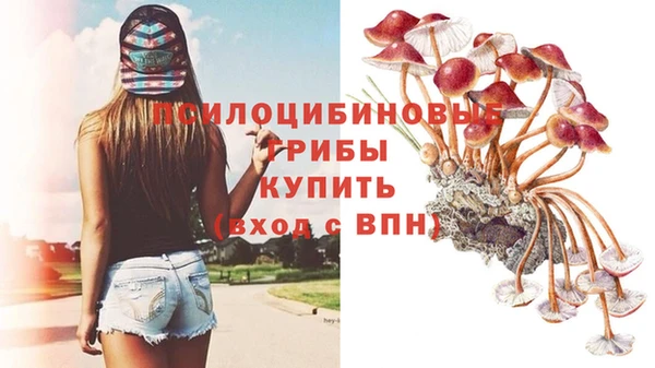 стаф Навашино