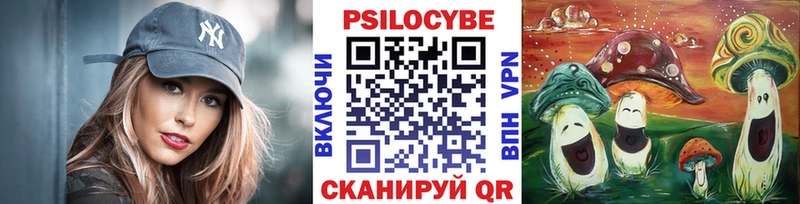 Галлюциногенные грибы GOLDEN TEACHER  купить закладку  Светлоград 
